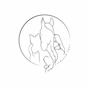 tier pyhsiotherapie training