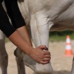 photo_2024-08-25_19-05-36