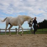 photo_2024-08-25_19-07-54